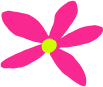 Flower 4