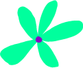 Flower 7